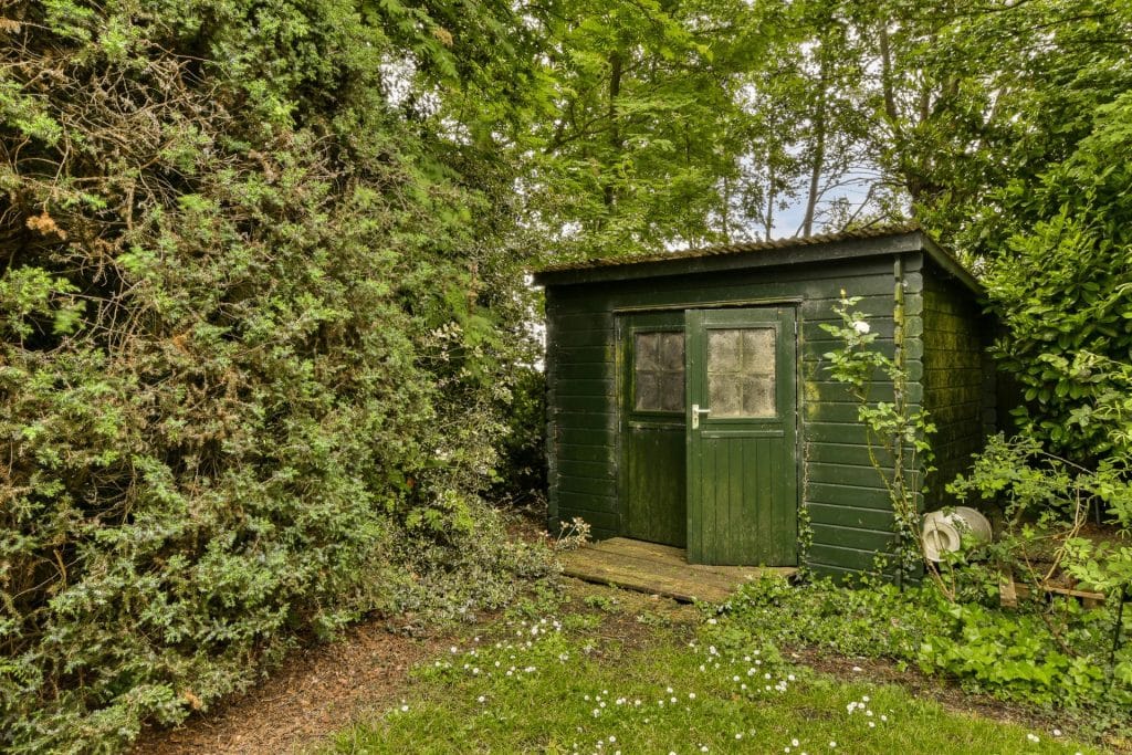 house clearance